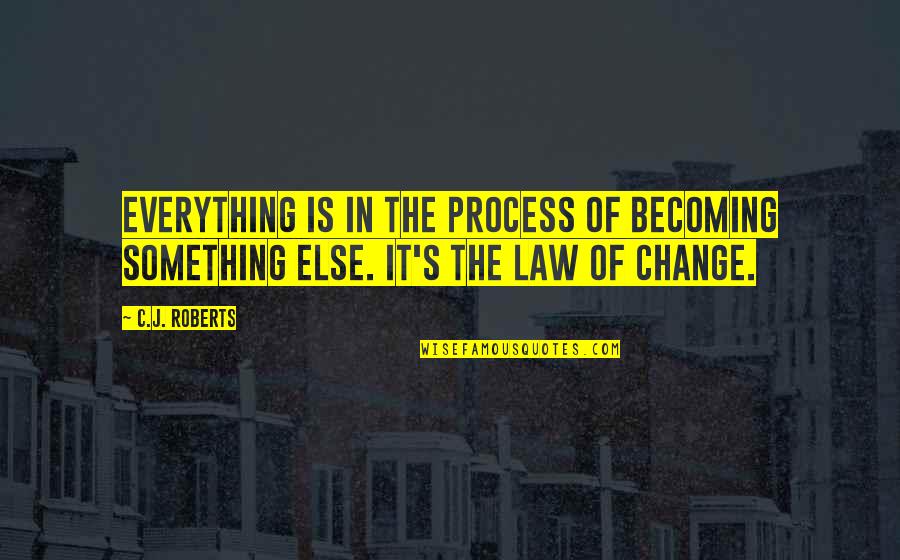 Process Change Quotes By C.J. Roberts: Everything is in the process of becoming something