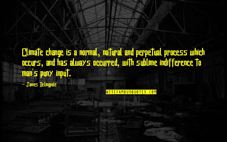 Process Change Quotes By James Delingpole: Climate change is a normal, natural and perpetual