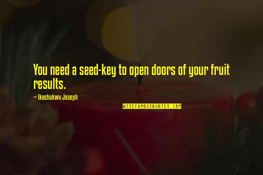 Process Over Results Quotes By Ikechukwu Joseph: You need a seed-key to open doors of