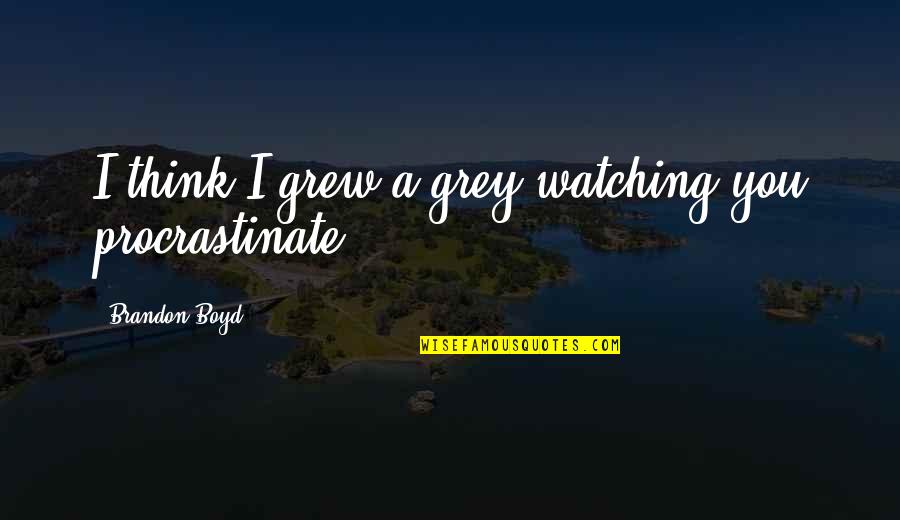 Procrastinate Quotes By Brandon Boyd: I think I grew a grey watching you