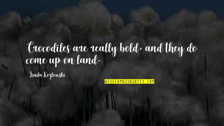 Prodesser Quotes By Linda Kozlowski: Crocodiles are really bold, and they do come Prodesser Quotes By Linda Kozlowski: Crocodiles are really bold, and they do come