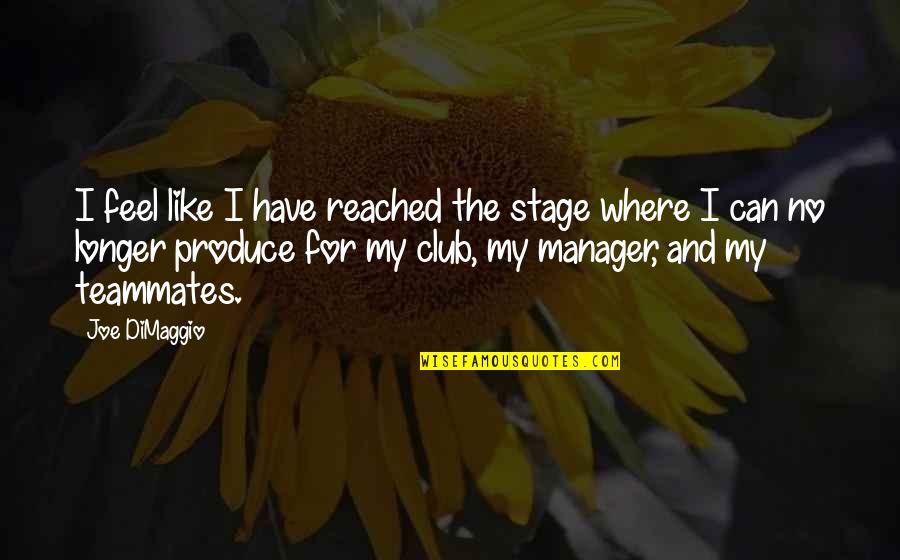 Produce Quotes By Joe DiMaggio: I feel like I have reached the stage