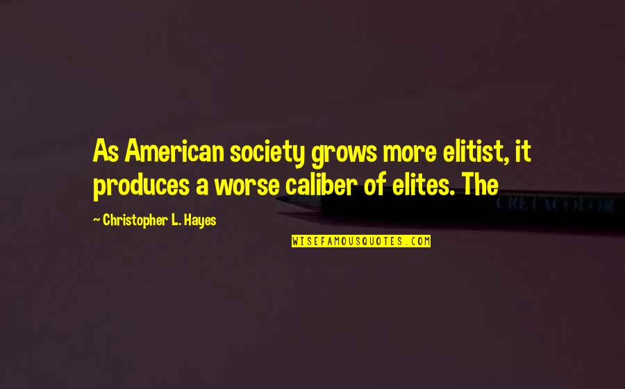 Produces Quotes By Christopher L. Hayes: As American society grows more elitist, it produces