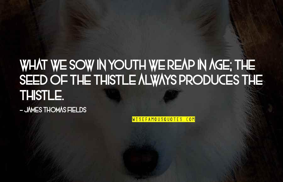 Produces Quotes By James Thomas Fields: What we sow in youth we reap in