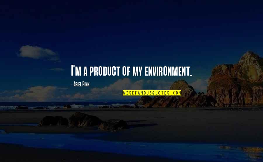 Product Of My Environment Quotes By Ariel Pink: I'm a product of my environment.