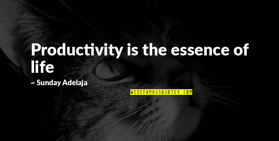 Productive Sunday Quotes By Sunday Adelaja: Productivity is the essence of life