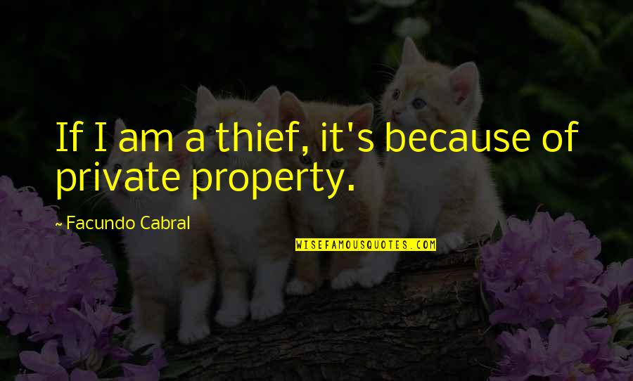 Produsent Quotes By Facundo Cabral: If I am a thief, it's because of