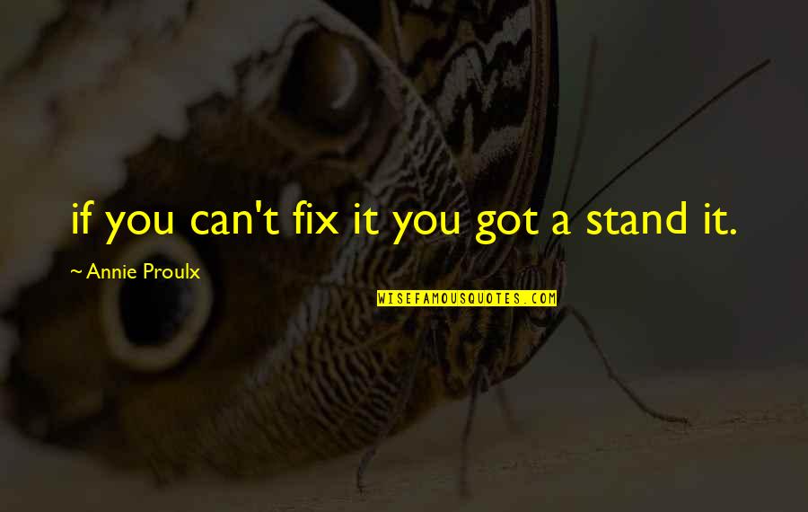Profess Love Quotes By Annie Proulx: if you can't fix it you got a