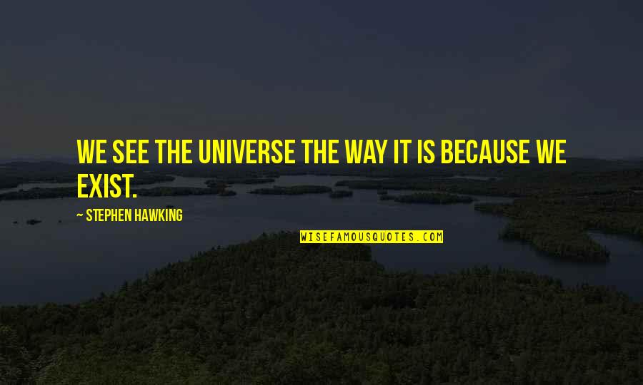 Profession And Passion Quotes By Stephen Hawking: We see the universe the way it is