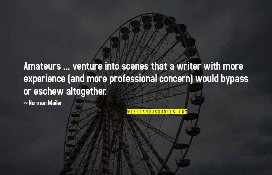 Professional Experience Quotes By Norman Mailer: Amateurs ... venture into scenes that a writer