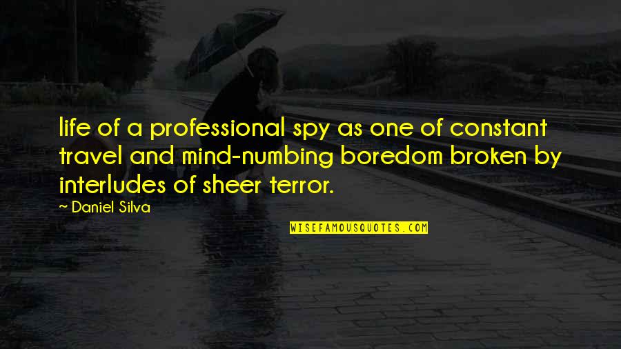 Professional Life Quotes By Daniel Silva: life of a professional spy as one of