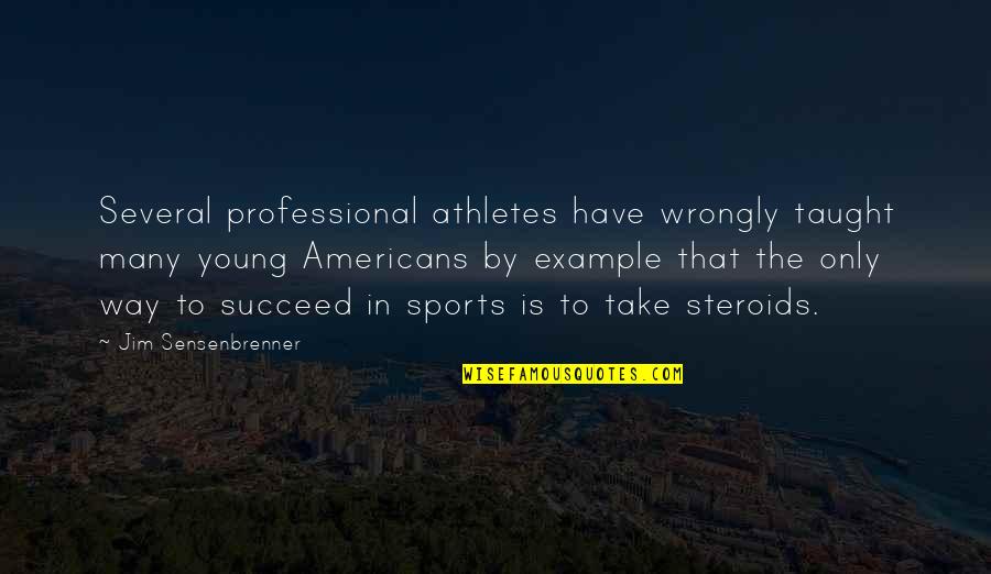 Professional Sports Quotes By Jim Sensenbrenner: Several professional athletes have wrongly taught many young