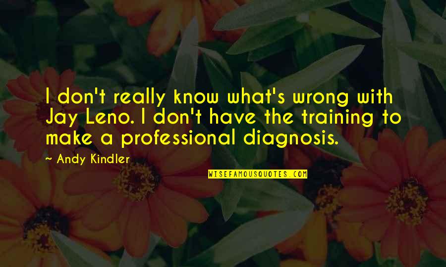 Professional Training Quotes By Andy Kindler: I don't really know what's wrong with Jay