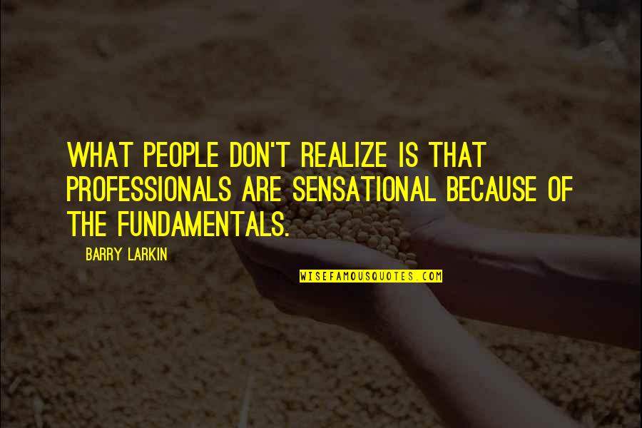 Professionals Quotes By Barry Larkin: What people don't realize is that professionals are