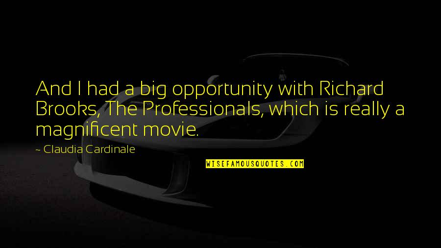 Professionals Quotes By Claudia Cardinale: And I had a big opportunity with Richard