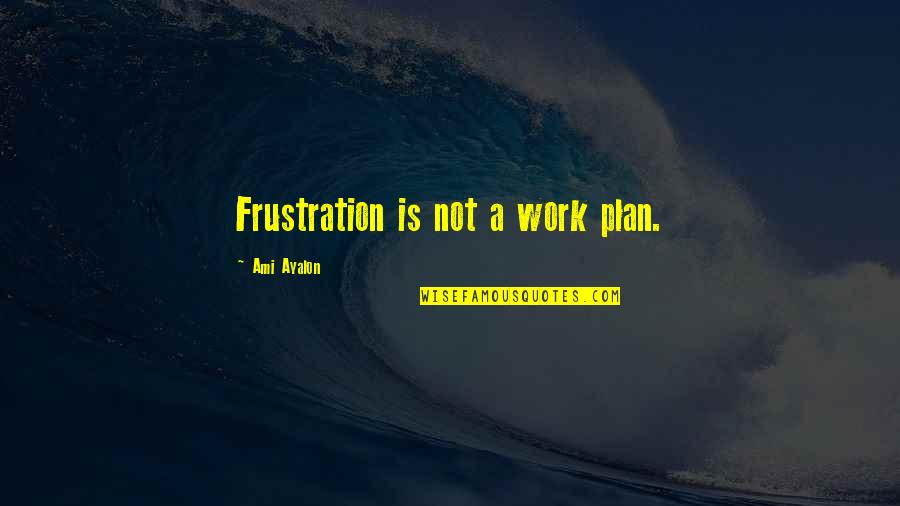 Professor Fred Hollows Quotes By Ami Ayalon: Frustration is not a work plan.
