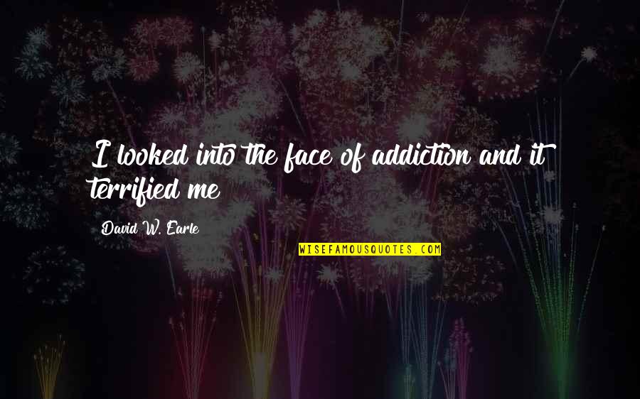 Professor Of Pain Quotes By David W. Earle: I looked into the face of addiction and