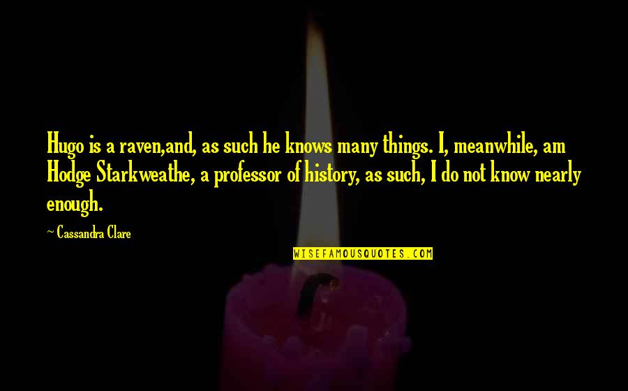 Professor Professor Quotes By Cassandra Clare: Hugo is a raven,and, as such he knows Professor Professor Quotes By Cassandra Clare: Hugo is a raven,and, as such he knows