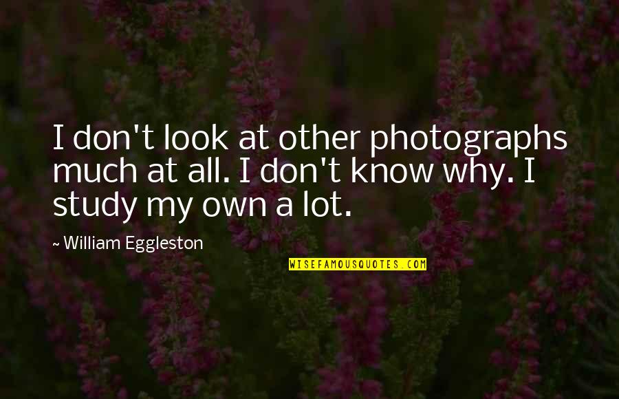 Profit Oriented Quotes By William Eggleston: I don't look at other photographs much at