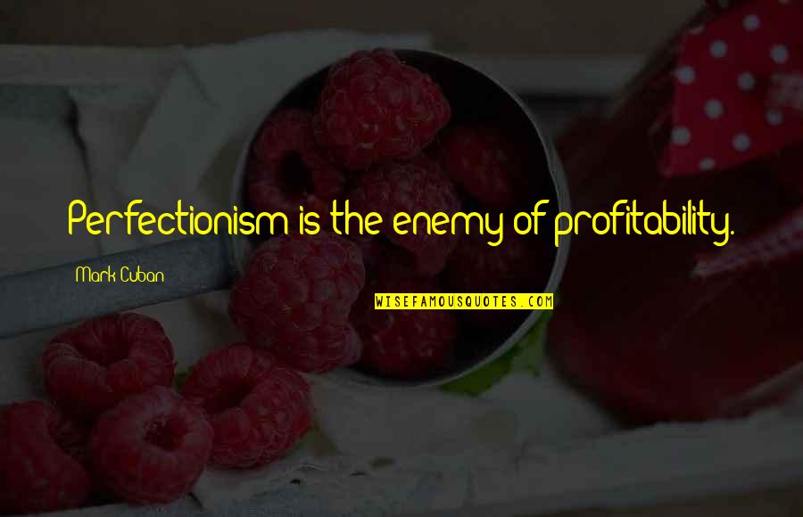 Profitability Quotes By Mark Cuban: Perfectionism is the enemy of profitability.