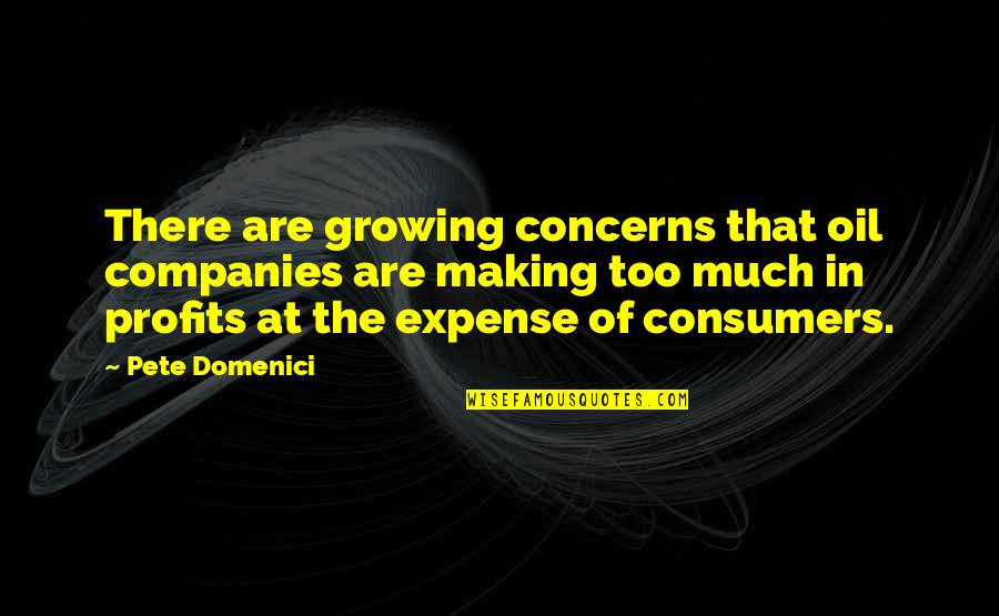 Profits Quotes By Pete Domenici: There are growing concerns that oil companies are