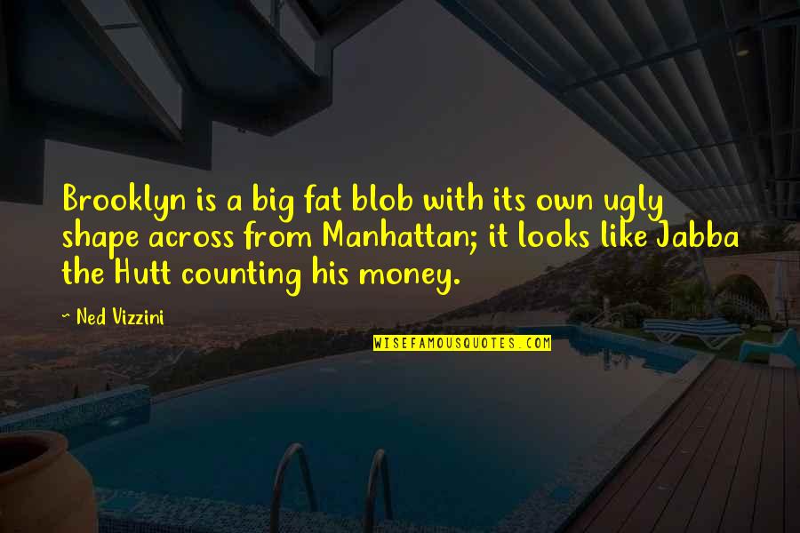 Profound But Stupid Quotes By Ned Vizzini: Brooklyn is a big fat blob with its