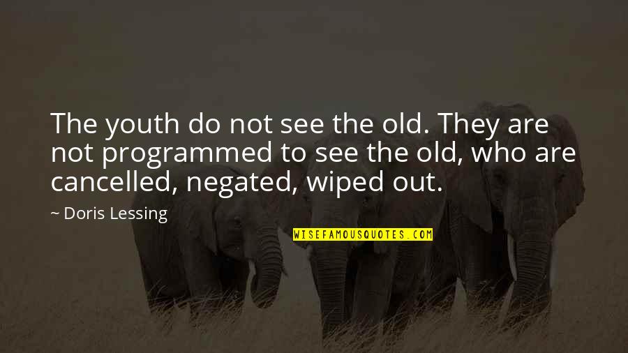 Programmed Quotes By Doris Lessing: The youth do not see the old. They