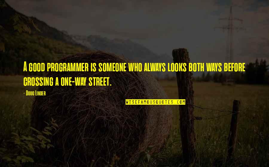 Programmer Funny Quotes By Doug Linder: A good programmer is someone who always looks Programmer Funny Quotes By Doug Linder: A good programmer is someone who always looks