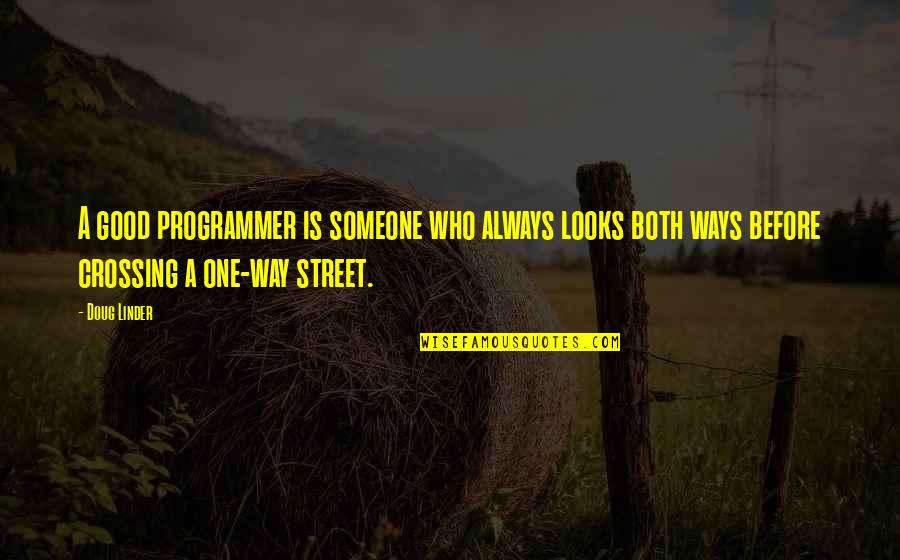 Programmer Quotes By Doug Linder: A good programmer is someone who always looks