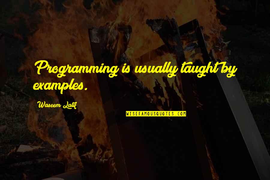 Programmer Quotes By Waseem Latif: Programming is usually taught by examples.