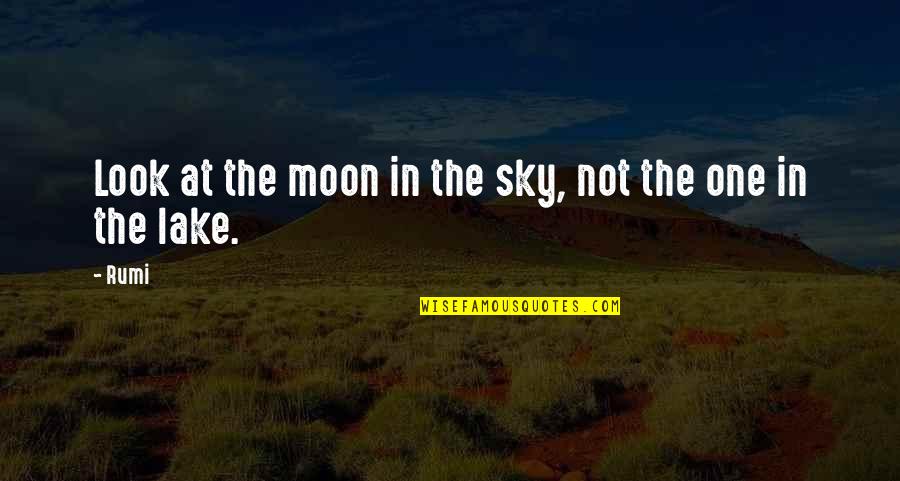 Programmierer Quotes By Rumi: Look at the moon in the sky, not