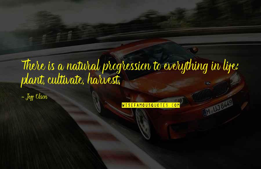 Progression In Life Quotes By Jeff Olson: There is a natural progression to everything in