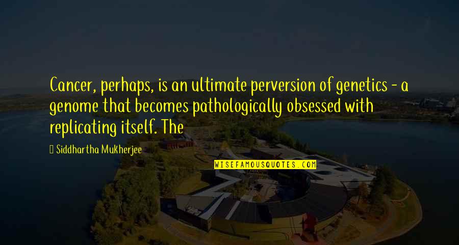 Progressive Music Quotes By Siddhartha Mukherjee: Cancer, perhaps, is an ultimate perversion of genetics