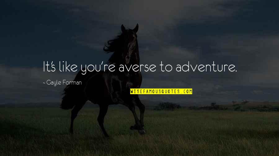 Progressive Retrieve Quotes By Gayle Forman: It's like you're averse to adventure.