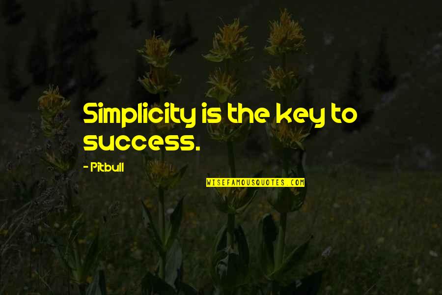 Prohibitorum Quotes By Pitbull: Simplicity is the key to success.