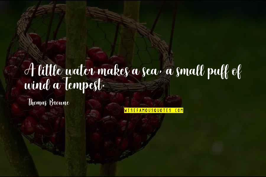Proiettare Quotes By Thomas Browne: A little water makes a sea, a small Proiettare Quotes By Thomas Browne: A little water makes a sea, a small