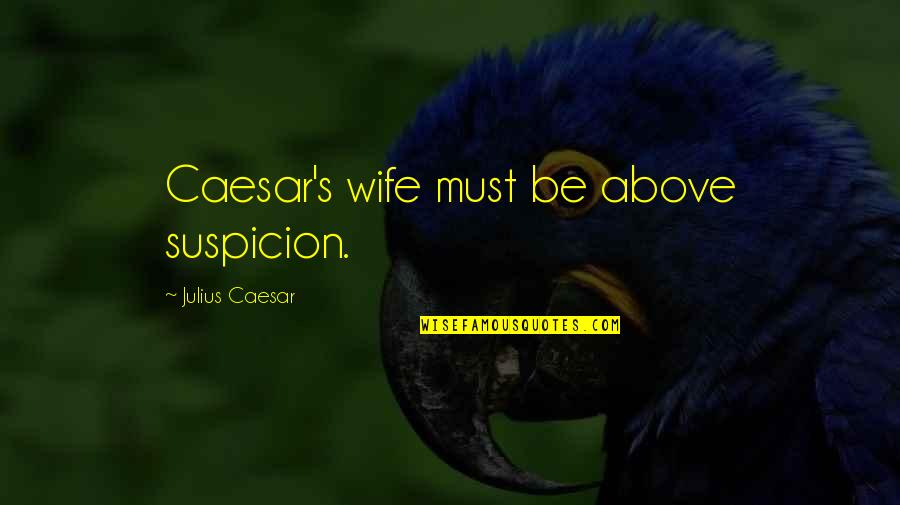 Project Yi Quotes By Julius Caesar: Caesar's wife must be above suspicion.