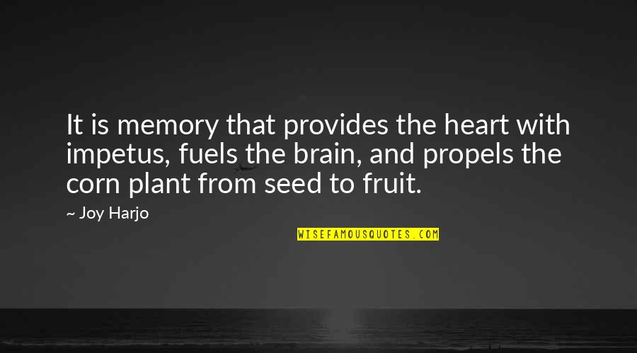 Projeta Medication Quotes By Joy Harjo: It is memory that provides the heart with Projeta Medication Quotes By Joy Harjo: It is memory that provides the heart with