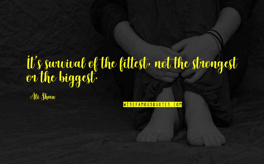 Prokopyevsk Quotes By Ali Shaw: It's survival of the fittest, not the strongest