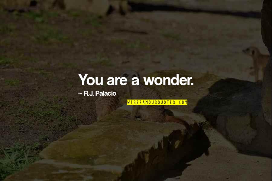 Prolonger In English Quotes By R.J. Palacio: You are a wonder.