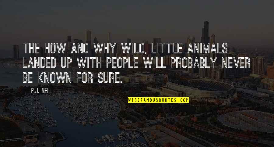 Prolongs Crossword Quotes By P.J. Nel: The how and why wild, little animals landed