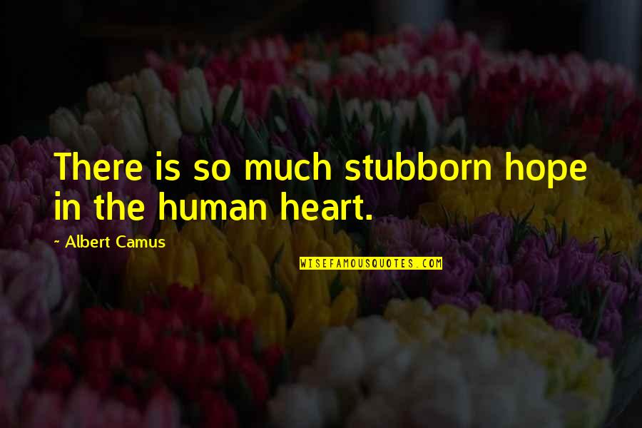 Promesas De Amor Quotes By Albert Camus: There is so much stubborn hope in the