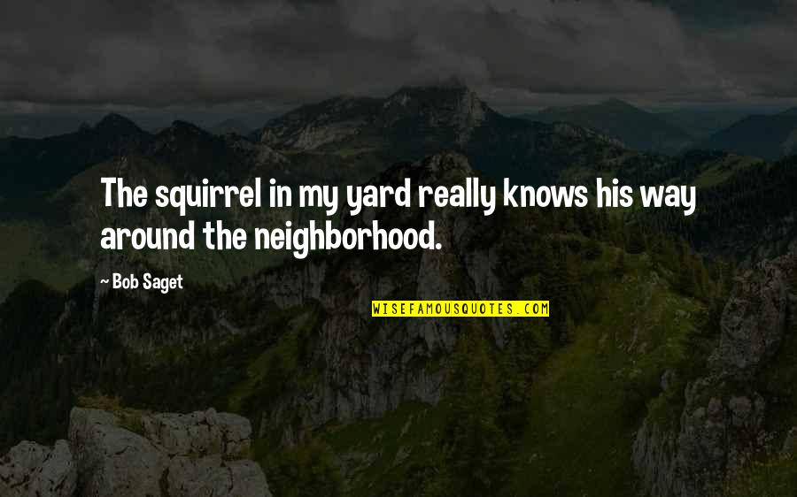 Prominent Education Quotes By Bob Saget: The squirrel in my yard really knows his
