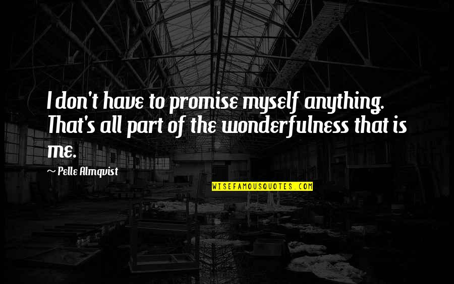 Promise Me This Quotes By Pelle Almqvist: I don't have to promise myself anything. That's