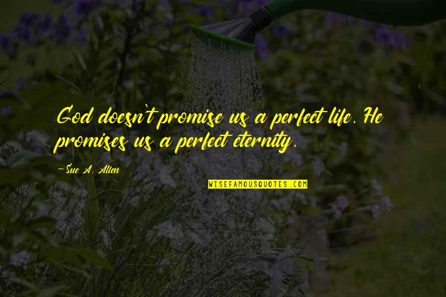 Promise You Quotes Quotes By Sue A. Allen: God doesn't promise us a perfect life. He