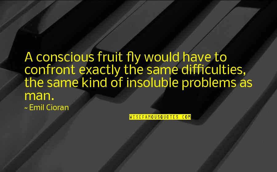 Promise You Won't Hurt Me Quotes By Emil Cioran: A conscious fruit fly would have to confront