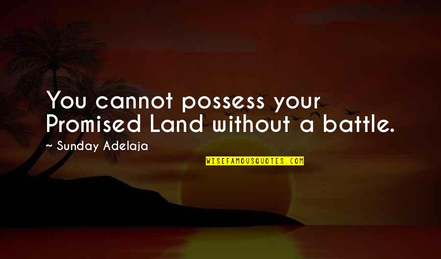 Promised Land Quotes By Sunday Adelaja: You cannot possess your Promised Land without a
