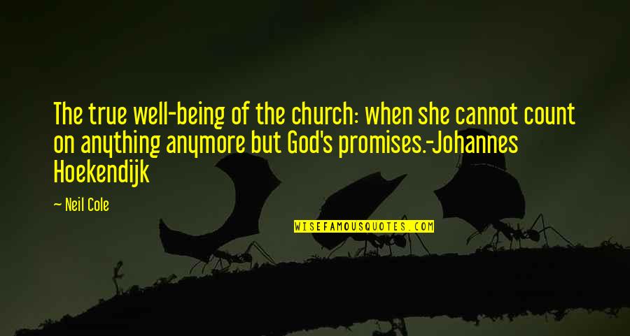 Promises Of God Quotes By Neil Cole: The true well-being of the church: when she