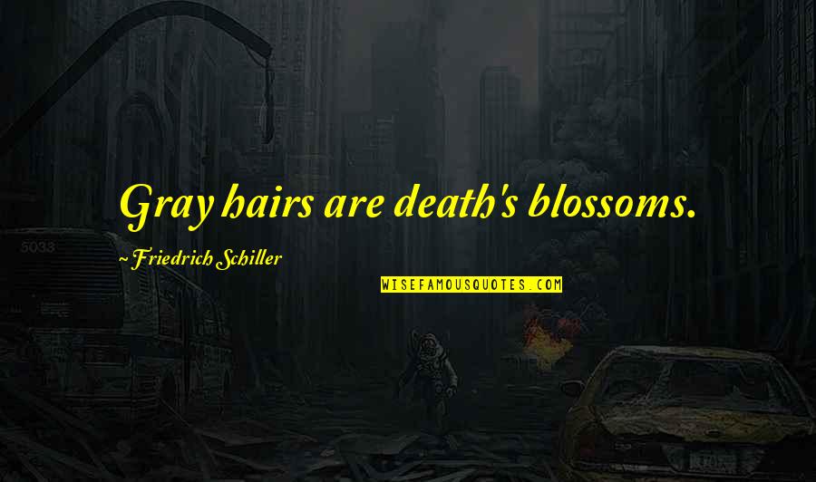 Promises That Jesus Quotes By Friedrich Schiller: Gray hairs are death's blossoms.