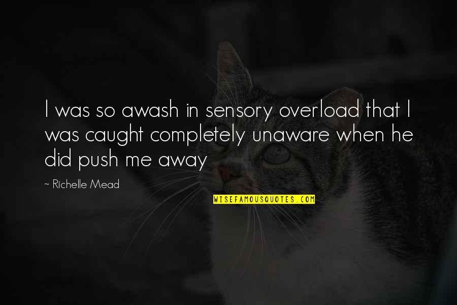 Promontorio Significato Quotes By Richelle Mead: I was so awash in sensory overload that Promontorio Significato Quotes By Richelle Mead: I was so awash in sensory overload that